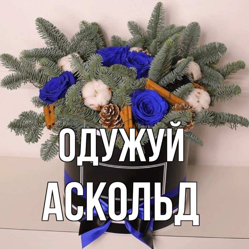 Открытка на каждый день з підписом, Аскольд Одужуй короче кто то загрузил эти шишки Прикольна листівка з побажанням онлайн скачати безкоштовно 