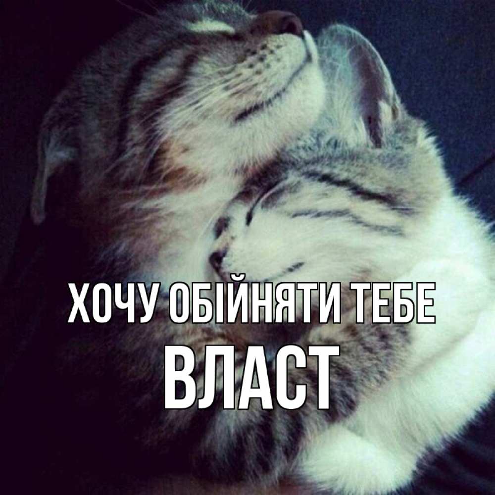 Открытка на каждый день з підписом, Власт Хочу обійняти тебе полосатики Прикольна листівка з побажанням онлайн скачати безкоштовно 