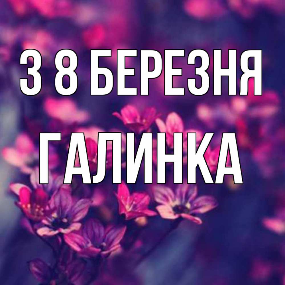 Открытка на каждый день з підписом, Галинка З 8 БЕРЕЗНЯ небольшие цветы 1 Прикольна листівка з побажанням онлайн скачати безкоштовно 
