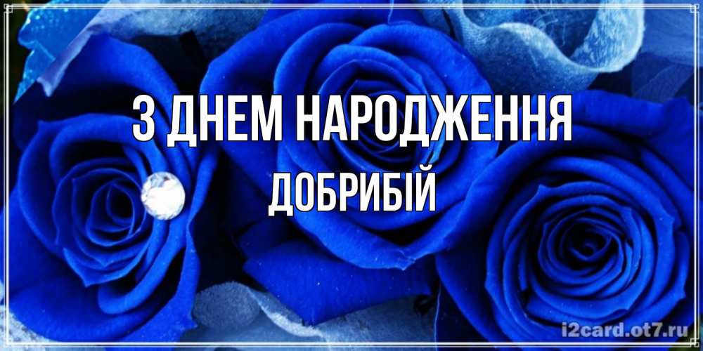 Открытка на каждый день з підписом, Добрибій З Днем народження синие розы в росе Прикольна листівка з побажанням онлайн скачати безкоштовно 