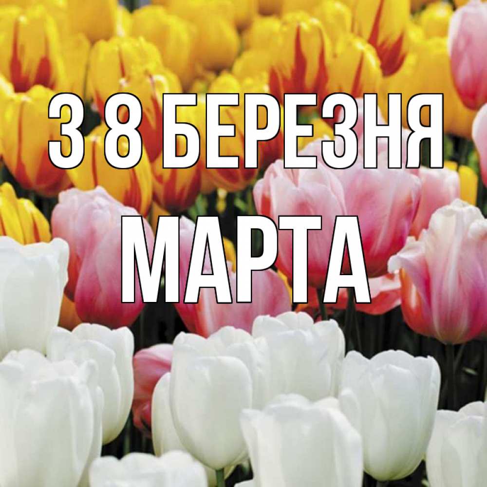 Открытка на каждый день з підписом, Марта З 8 БЕРЕЗНЯ разноцветные цветы Прикольна листівка з побажанням онлайн скачати безкоштовно 