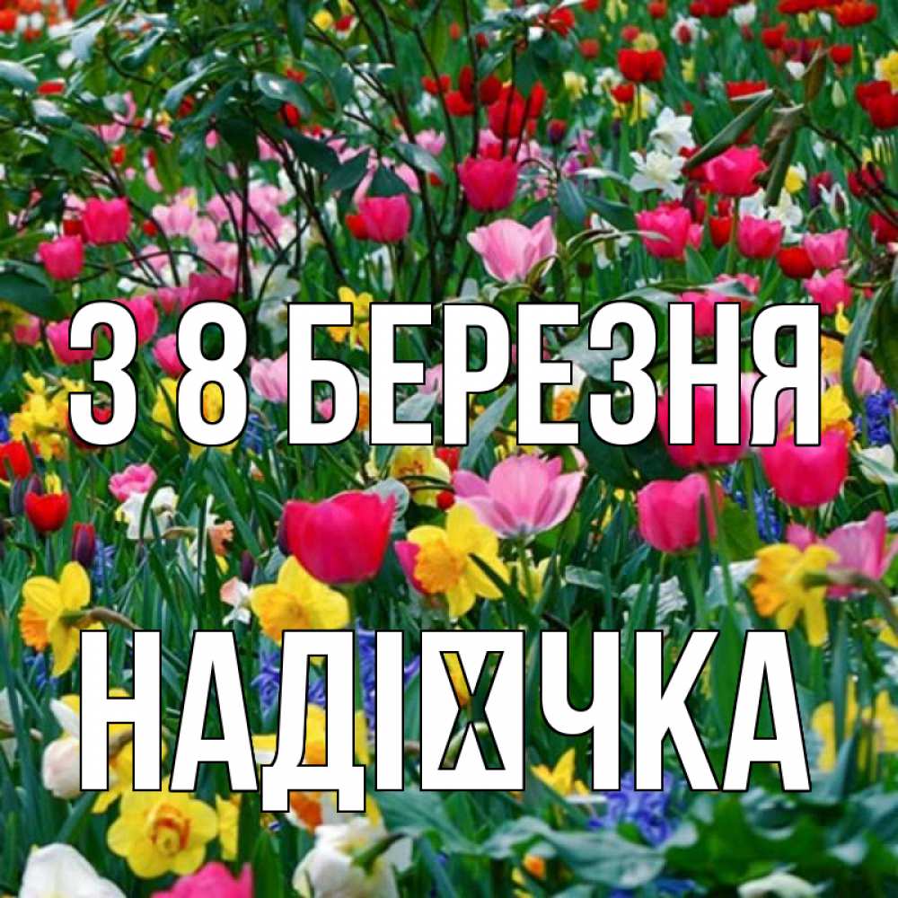 Открытка на каждый день з підписом, Надієчка З 8 БЕРЕЗНЯ с международным женским днем поздравления для женщины Прикольна листівка з побажанням онлайн скачати безкоштовно 