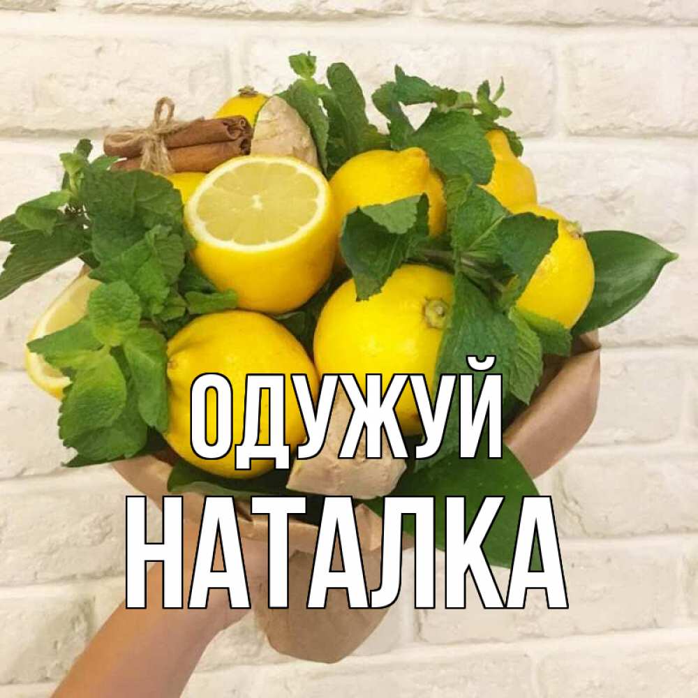 Открытка на каждый день з підписом, Наталка Одужуй витамины Прикольна листівка з побажанням онлайн скачати безкоштовно 