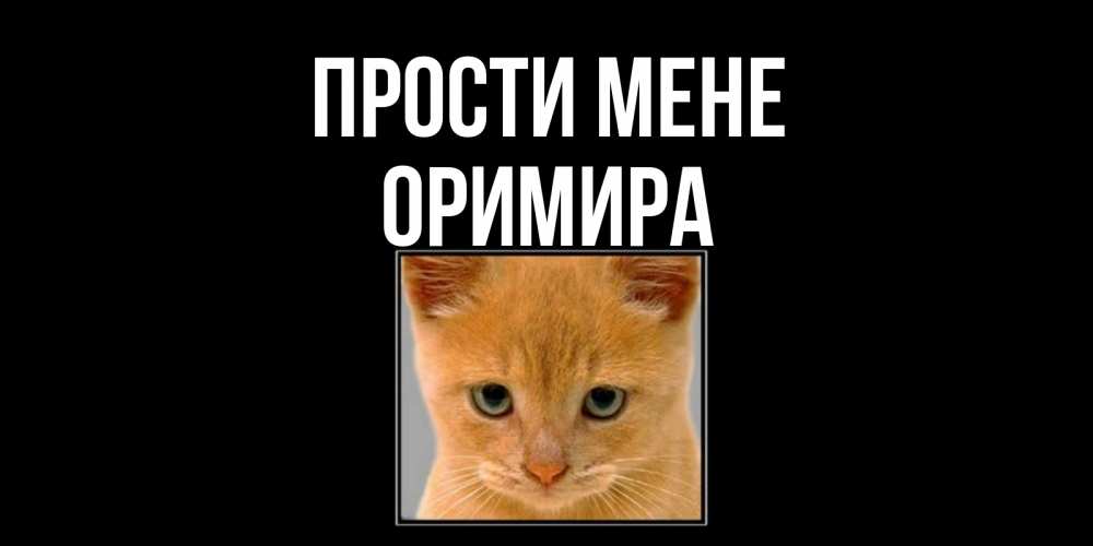 Открытка на каждый день з підписом, Оримира Прости мене рыжий грустный кот просит прощения Прикольна листівка з побажанням онлайн скачати безкоштовно 