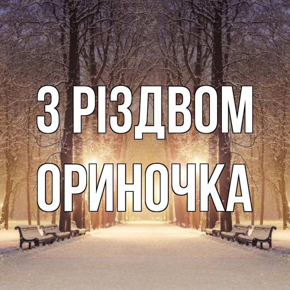 Открытка на каждый день з підписом, Ориночка З Різдвом зима, парк, фонарь, лес Прикольна листівка з побажанням онлайн скачати безкоштовно 