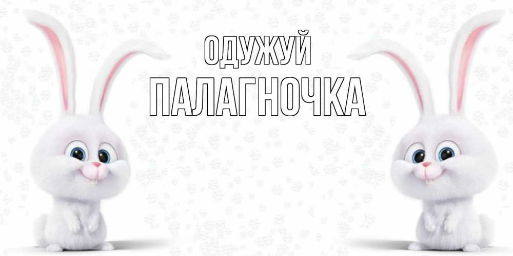 Открытка на каждый день з підписом, Палагночка Одужуй не болей с зайцем Прикольна листівка з побажанням онлайн скачати безкоштовно 