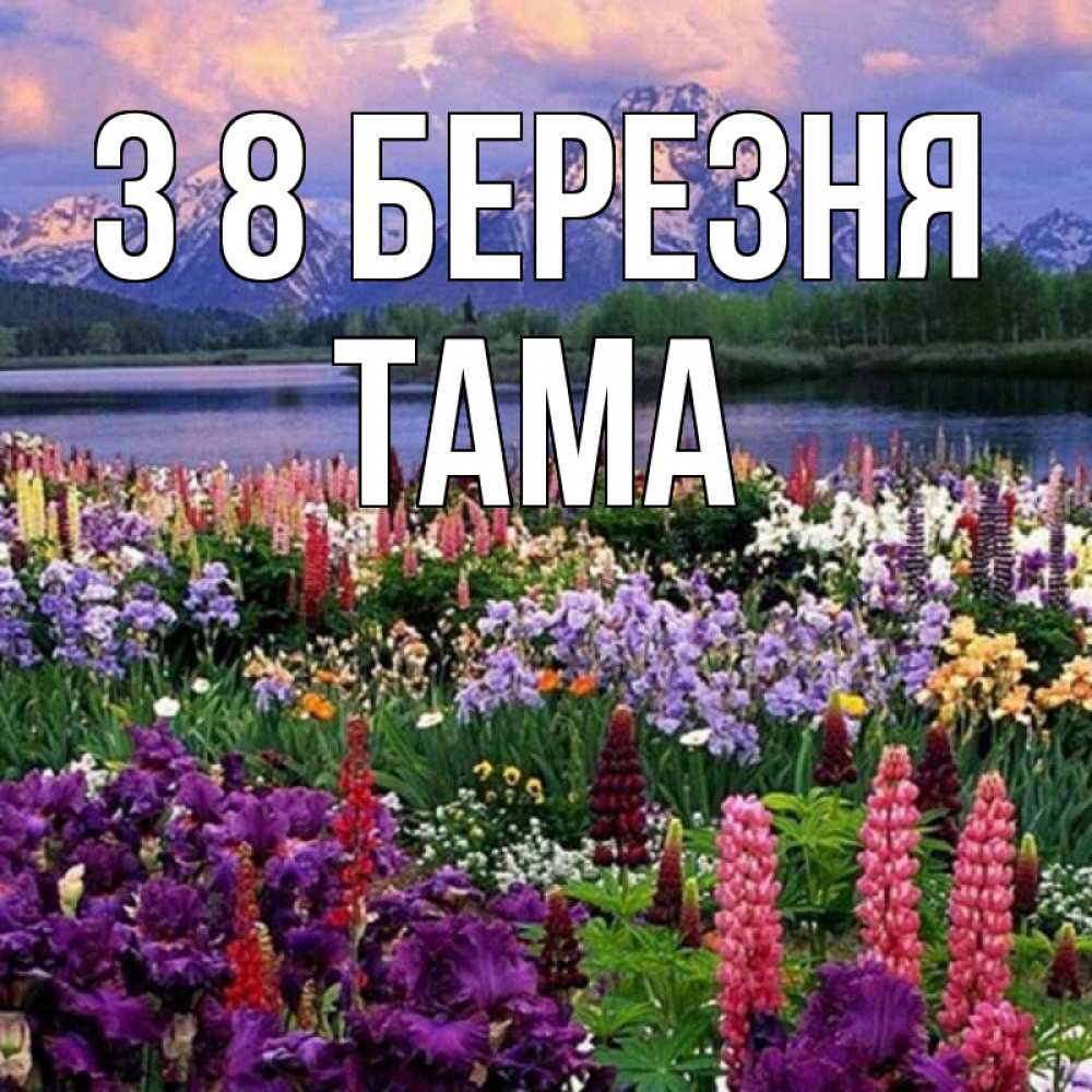 Открытка на каждый день з підписом, Тама З 8 БЕРЕЗНЯ международный женский день Прикольна листівка з побажанням онлайн скачати безкоштовно 