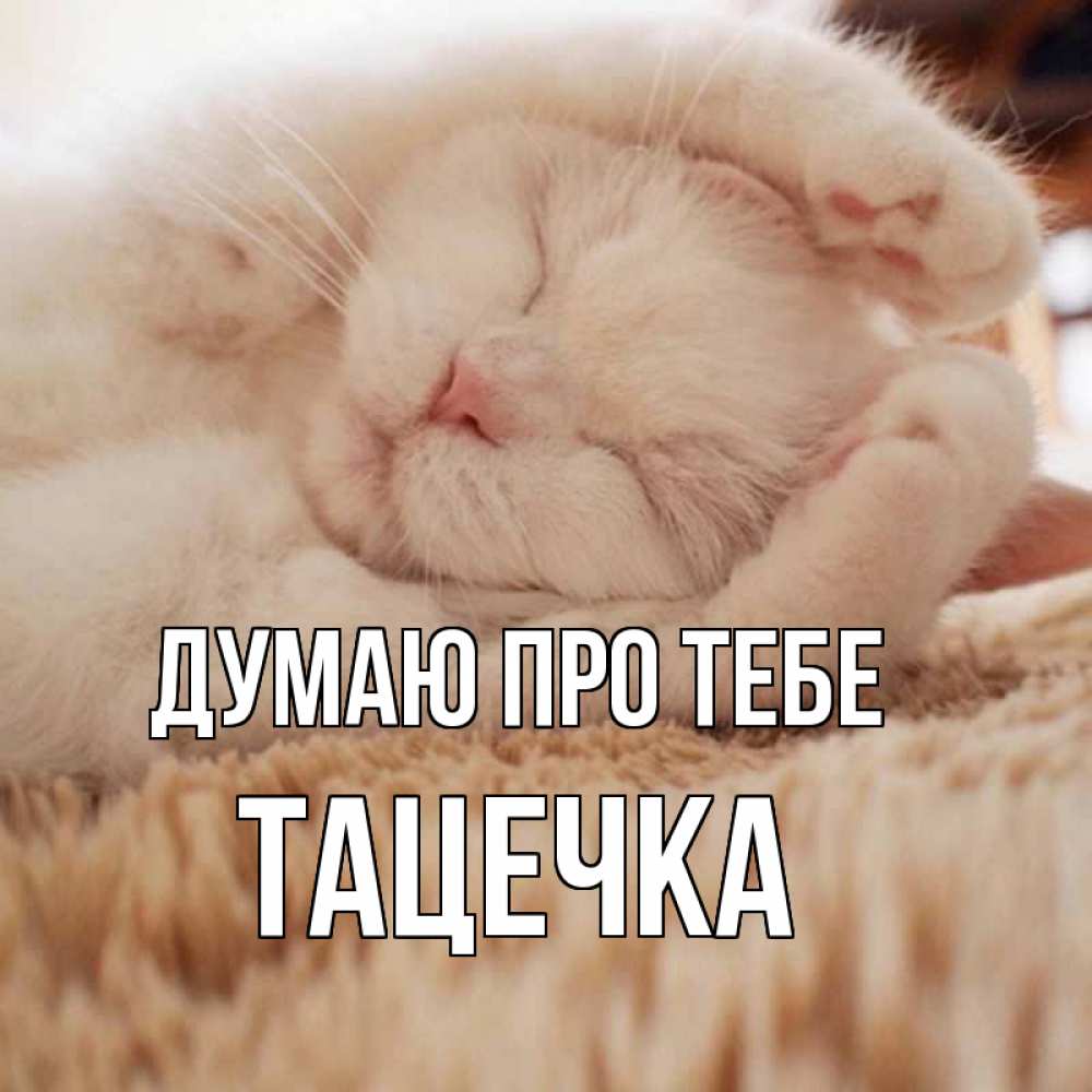Открытка на каждый день з підписом, Тацечка Думаю про тебе для любимой девушки милота Прикольна листівка з побажанням онлайн скачати безкоштовно 