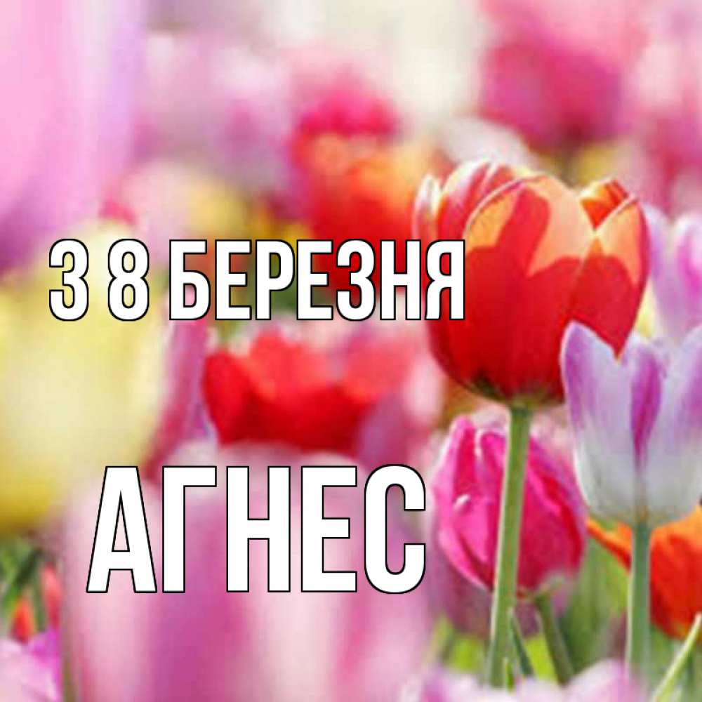 Открытка на каждый день з підписом, Агнес З 8 БЕРЕЗНЯ на международный женский день 2 Прикольна листівка з побажанням онлайн скачати безкоштовно 