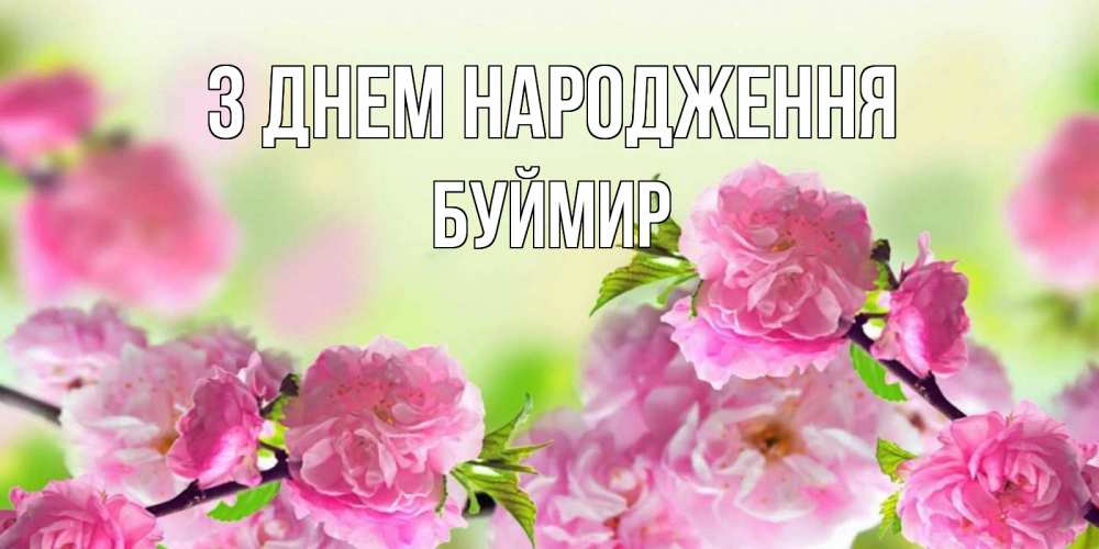Открытка на каждый день з підписом, Буймир З Днем народження веточки с цветками Прикольна листівка з побажанням онлайн скачати безкоштовно 