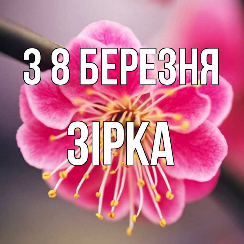 Открытка на каждый день з підписом, Зірка З 8 БЕРЕЗНЯ цветы Прикольна листівка з побажанням онлайн скачати безкоштовно 