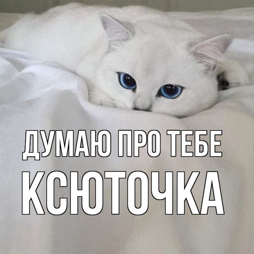 Открытка на каждый день з підписом, Ксюточка Думаю про тебе я очень по тебе скучаю и тоскую Прикольна листівка з побажанням онлайн скачати безкоштовно 