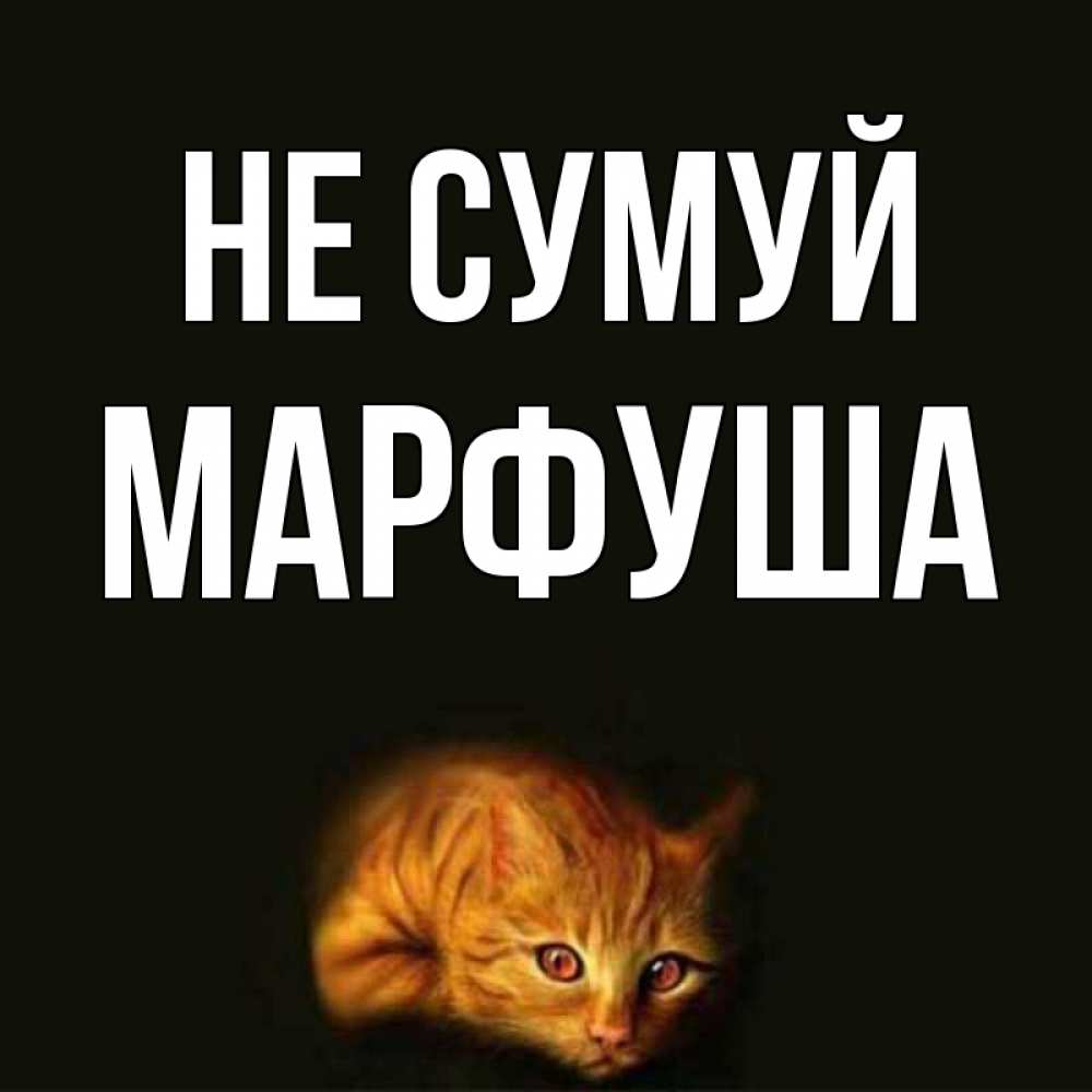 Открытка на каждый день з підписом, Марфуша Не сумуй лежащий кот в темноте Прикольна листівка з побажанням онлайн скачати безкоштовно 