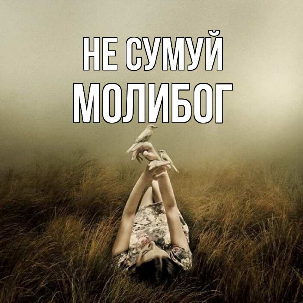 Открытка на каждый день з підписом, Молибог Не сумуй поле и туман Прикольна листівка з побажанням онлайн скачати безкоштовно 
