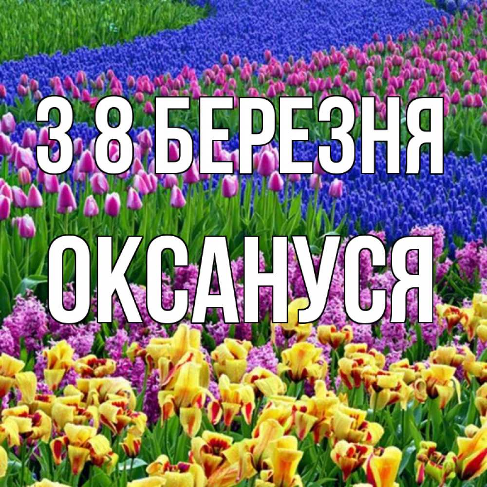 Открытка на каждый день з підписом, Оксануся З 8 БЕРЕЗНЯ цветы Прикольна листівка з побажанням онлайн скачати безкоштовно 