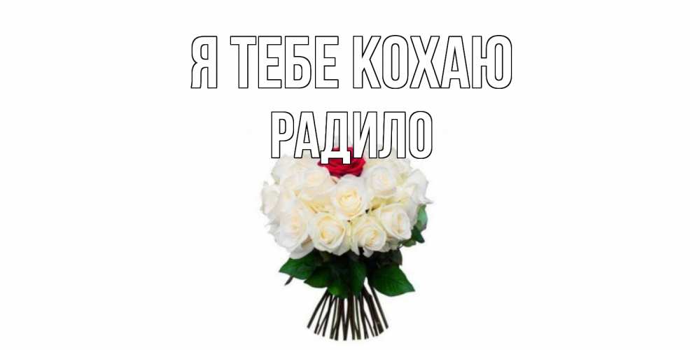 Открытка на каждый день з підписом, Радило Я тебе кохаю единственная Прикольна листівка з побажанням онлайн скачати безкоштовно 