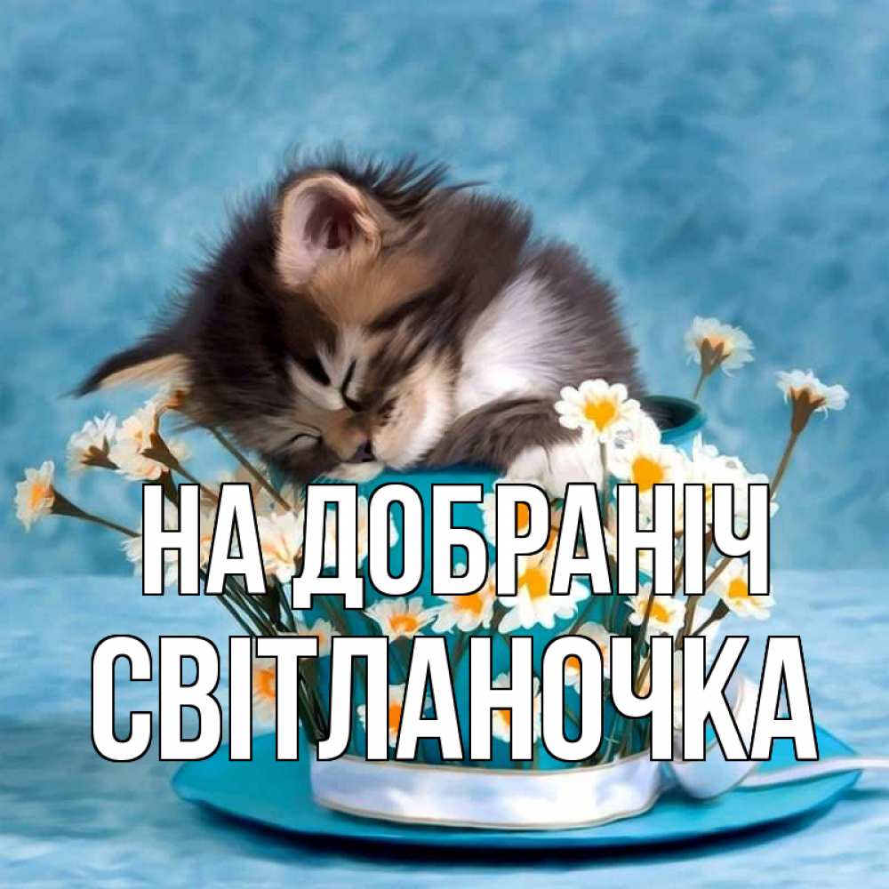 Открытка на каждый день з підписом, Світланочка На добраніч котенок спит в кружке с блюдцем Прикольна листівка з побажанням онлайн скачати безкоштовно 