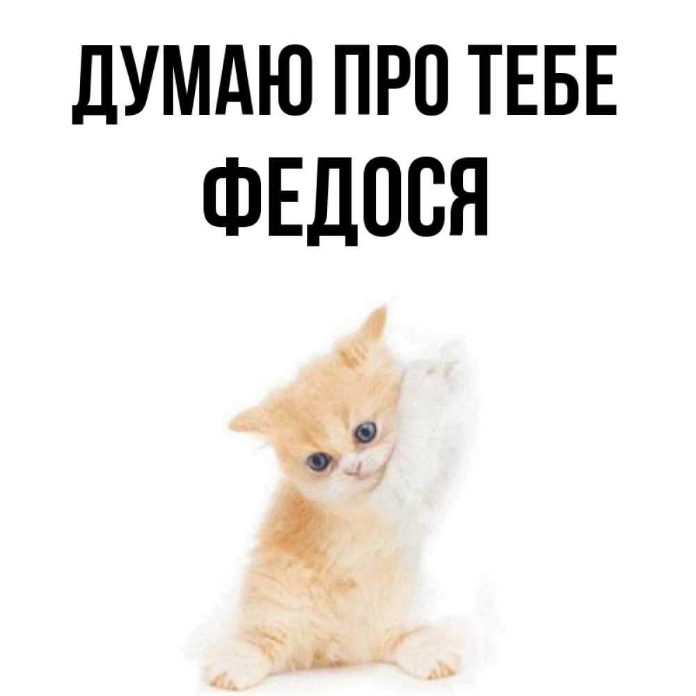 Открытка на каждый день з підписом, Федося Думаю про тебе зверушки и милота Прикольна листівка з побажанням онлайн скачати безкоштовно 