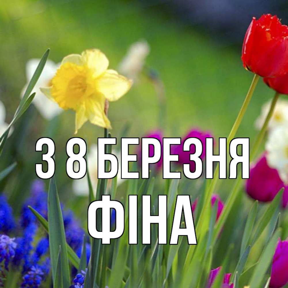 Открытка на каждый день з підписом, Фіна З 8 БЕРЕЗНЯ международный женский день 3 Прикольна листівка з побажанням онлайн скачати безкоштовно 