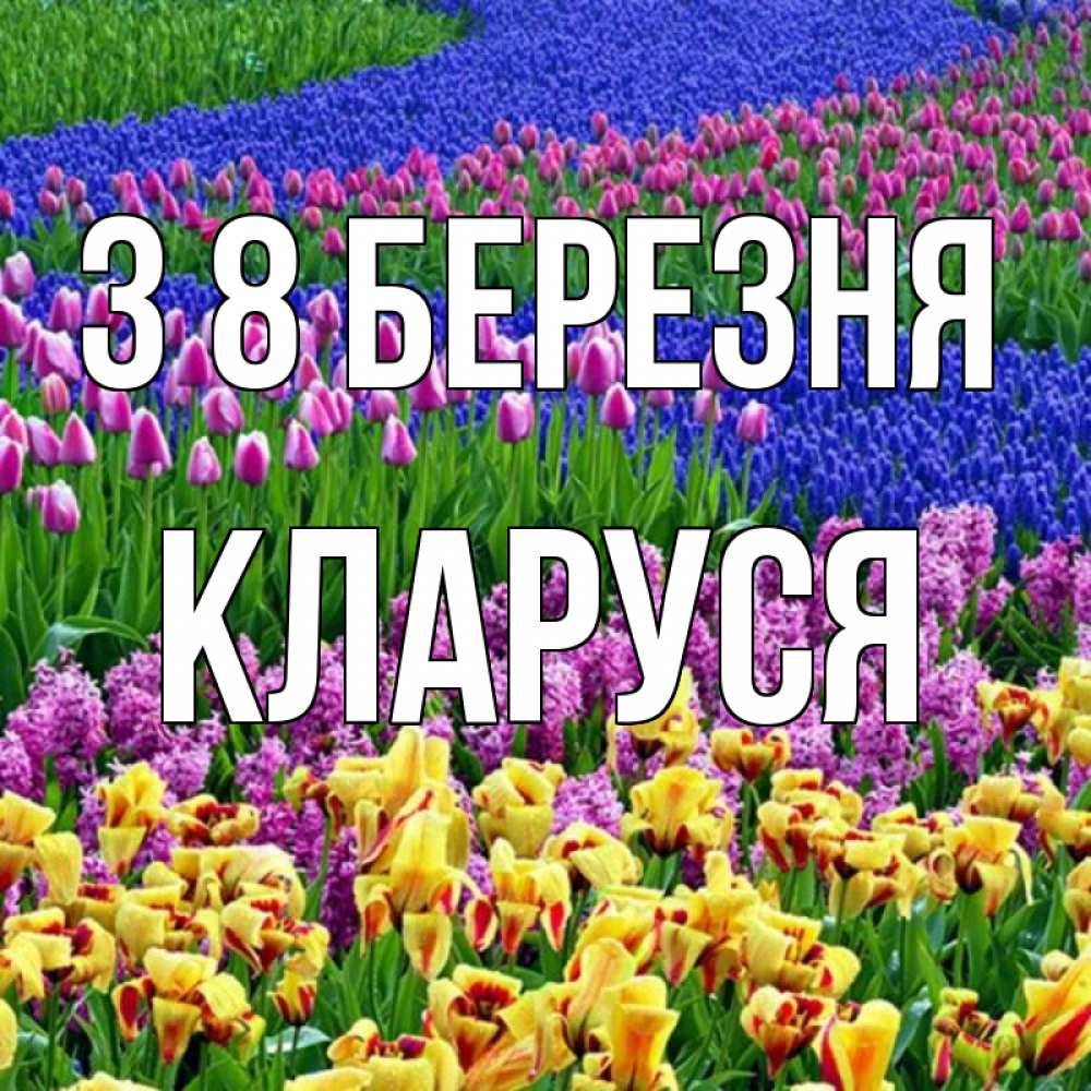 Открытка на каждый день з підписом, Кларуся З 8 БЕРЕЗНЯ цветы Прикольна листівка з побажанням онлайн скачати безкоштовно 