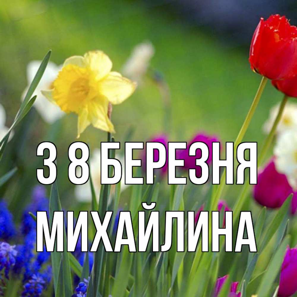 Открытка на каждый день з підписом, Михайлина З 8 БЕРЕЗНЯ международный женский день 3 Прикольна листівка з побажанням онлайн скачати безкоштовно 
