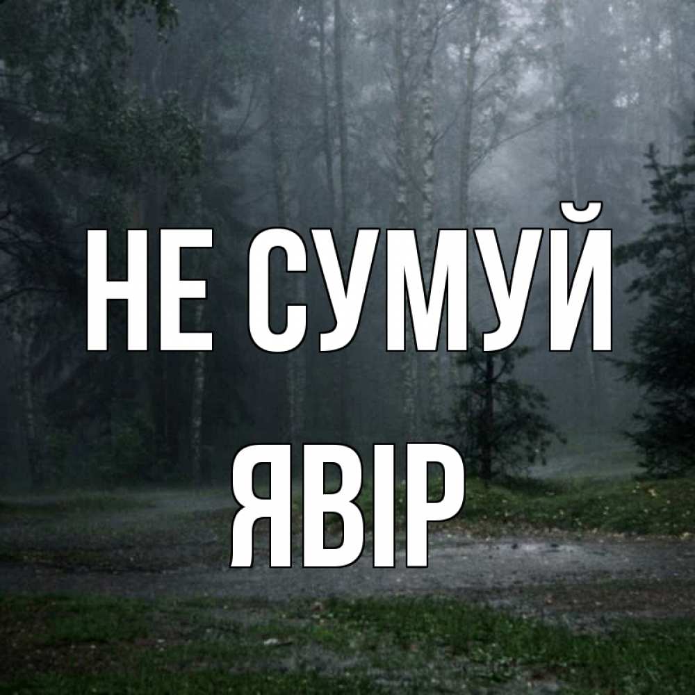 Открытка на каждый день з підписом, Явір Не сумуй осень Прикольна листівка з побажанням онлайн скачати безкоштовно 