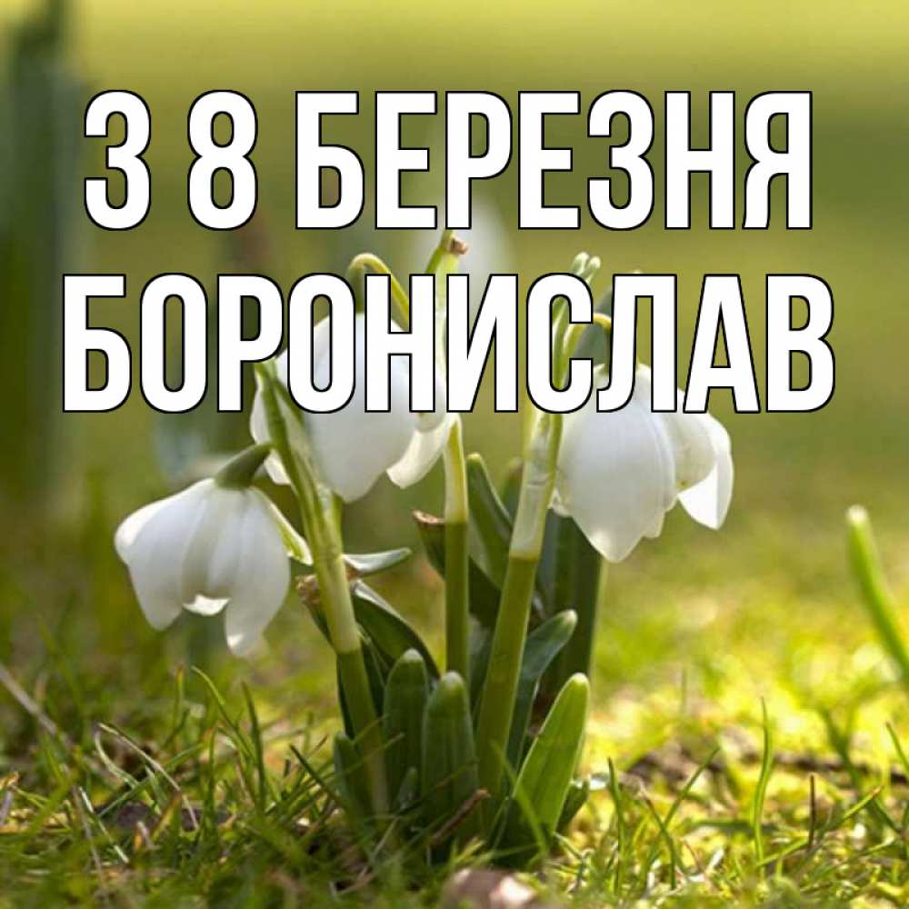 Открытка на каждый день з підписом, Боронислав З 8 БЕРЕЗНЯ ранние цветы 2 Прикольна листівка з побажанням онлайн скачати безкоштовно 