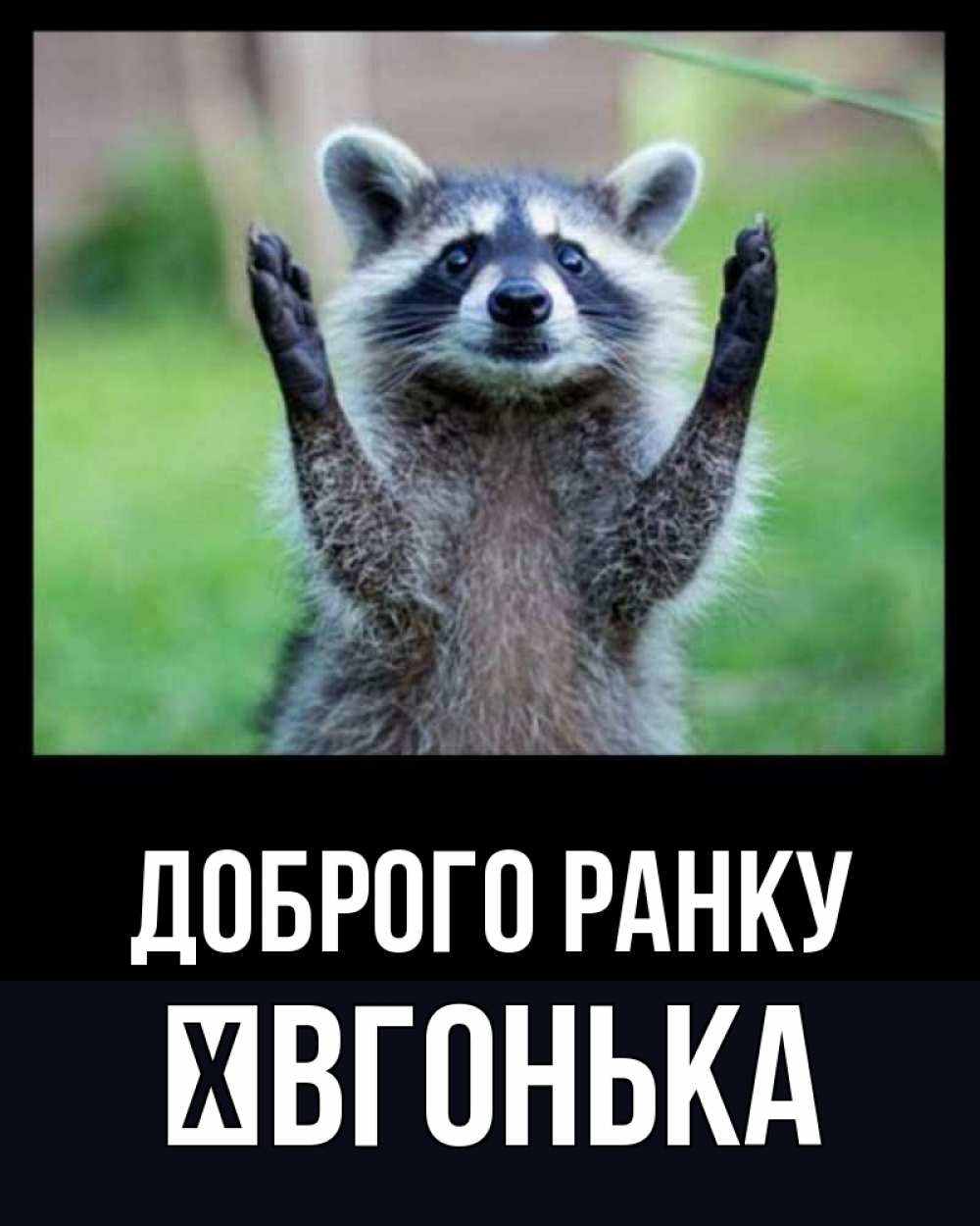 Открытка на каждый день з підписом, Ївгонька Доброго ранку хорошее настроение утречком Прикольна листівка з побажанням онлайн скачати безкоштовно 