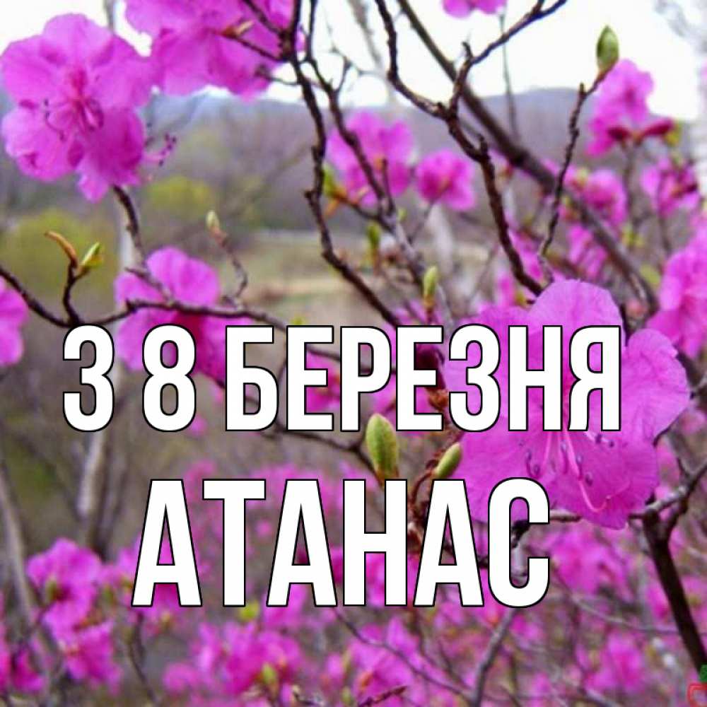 Открытка на каждый день з підписом, Атанас З 8 БЕРЕЗНЯ международный женский день Прикольна листівка з побажанням онлайн скачати безкоштовно 
