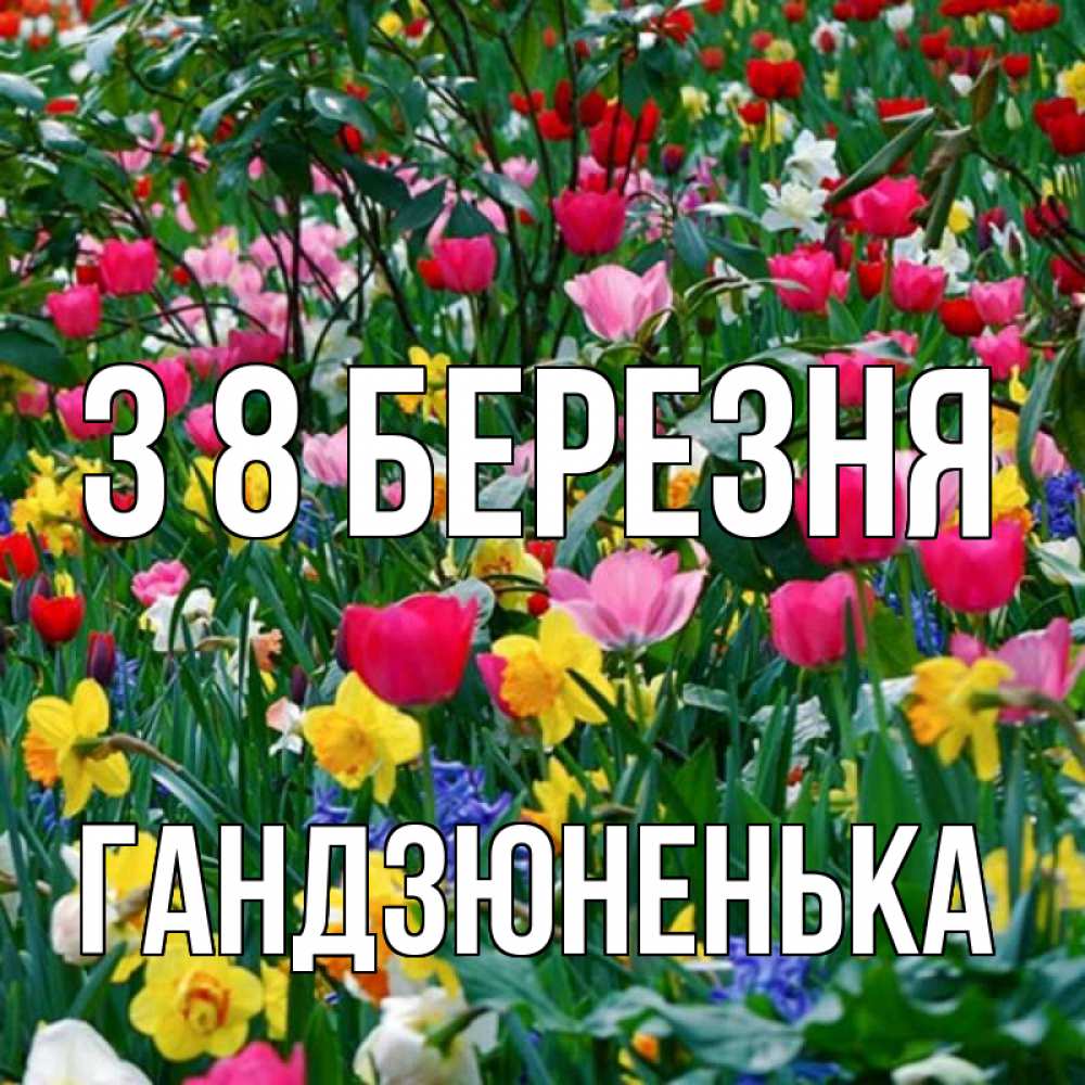 Открытка на каждый день з підписом, Гандзюненька З 8 БЕРЕЗНЯ с международным женским днем поздравления для женщины Прикольна листівка з побажанням онлайн скачати безкоштовно 