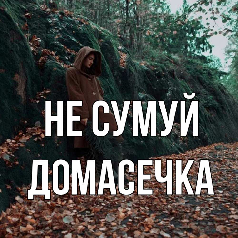Открытка на каждый день з підписом, Домасечка Не сумуй осенний лес Прикольна листівка з побажанням онлайн скачати безкоштовно 