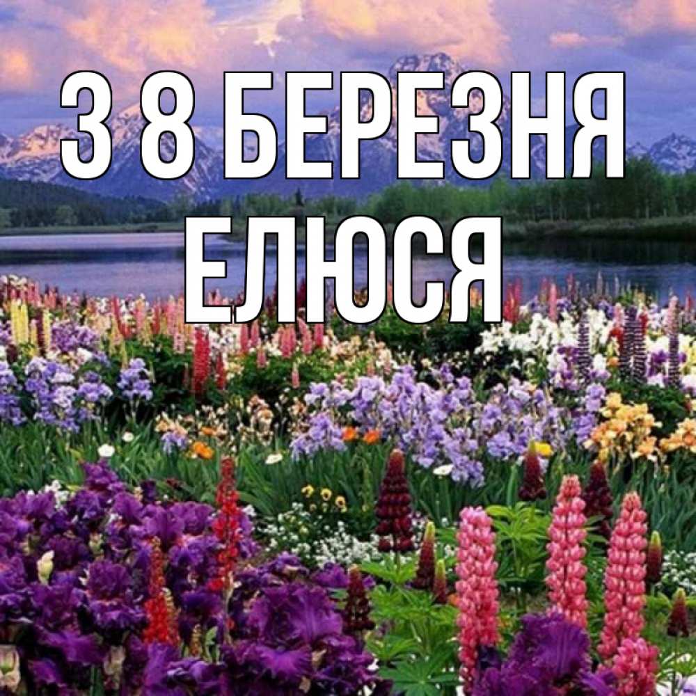 Открытка на каждый день з підписом, Елюся З 8 БЕРЕЗНЯ международный женский день Прикольна листівка з побажанням онлайн скачати безкоштовно 