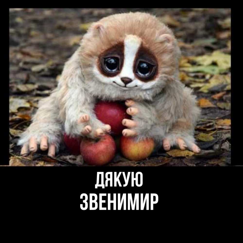 Открытка на каждый день з підписом, Звенимир Дякую прикольное животное Прикольна листівка з побажанням онлайн скачати безкоштовно 