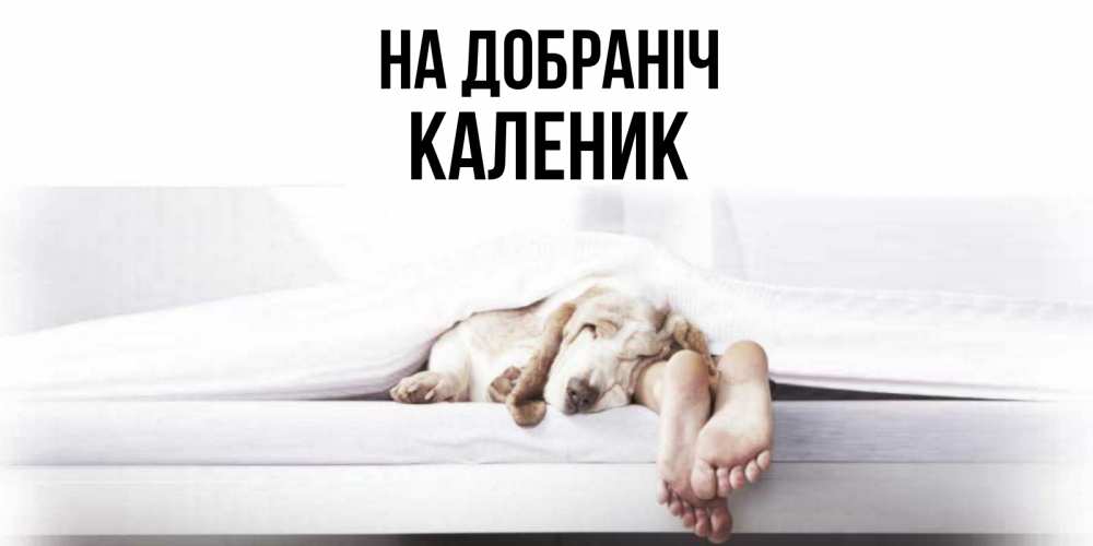 Открытка на каждый день з підписом, Каленик На добраніч кровать с собакой пожелание сладких снов и спокойной ночи Прикольна листівка з побажанням онлайн скачати безкоштовно 