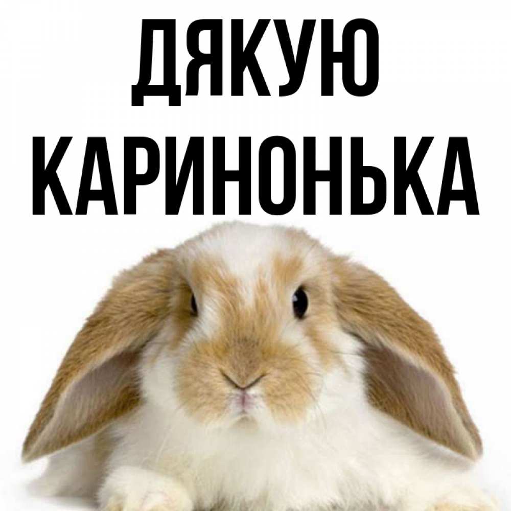 Открытка на каждый день з підписом, Каринонька Дякую коричнево белый заяц Прикольна листівка з побажанням онлайн скачати безкоштовно 