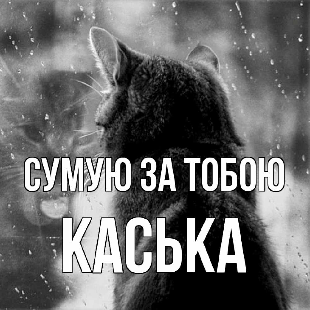 Открытка на каждый день з підписом, Каська Сумую за тобою скорее ко мне приходи 1 Прикольна листівка з побажанням онлайн скачати безкоштовно 