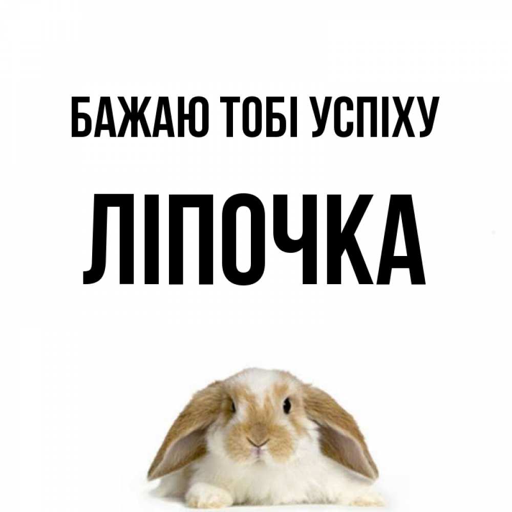 Открытка на каждый день з підписом, Ліпочка Бажаю тобі успіху открытки с произвольным текстом который можно вставить в открытку и создать ее самостоятельно бесплатно онлайн Прикольна листівка з побажанням онлайн скачати безкоштовно 