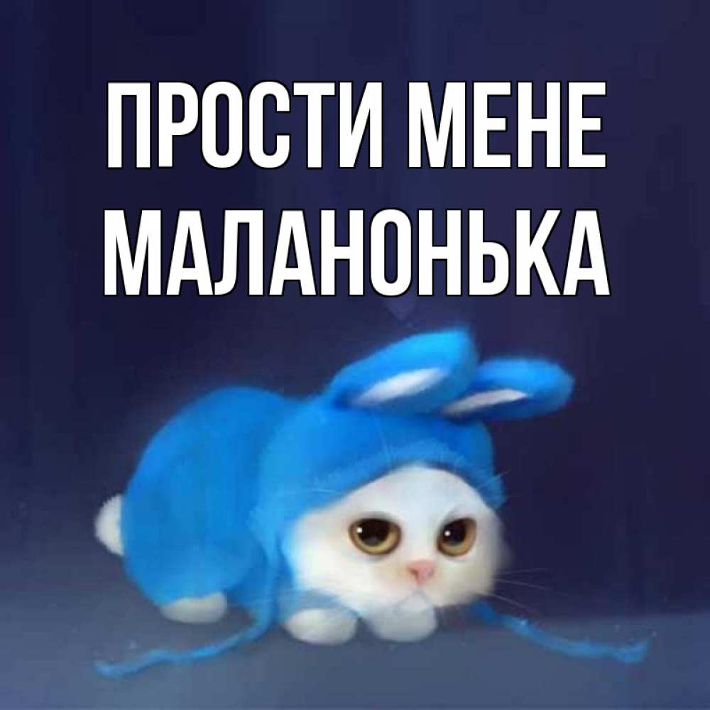 Открытка на каждый день з підписом, Маланонька Прости мене невинный котозай просит прощения Прикольна листівка з побажанням онлайн скачати безкоштовно 