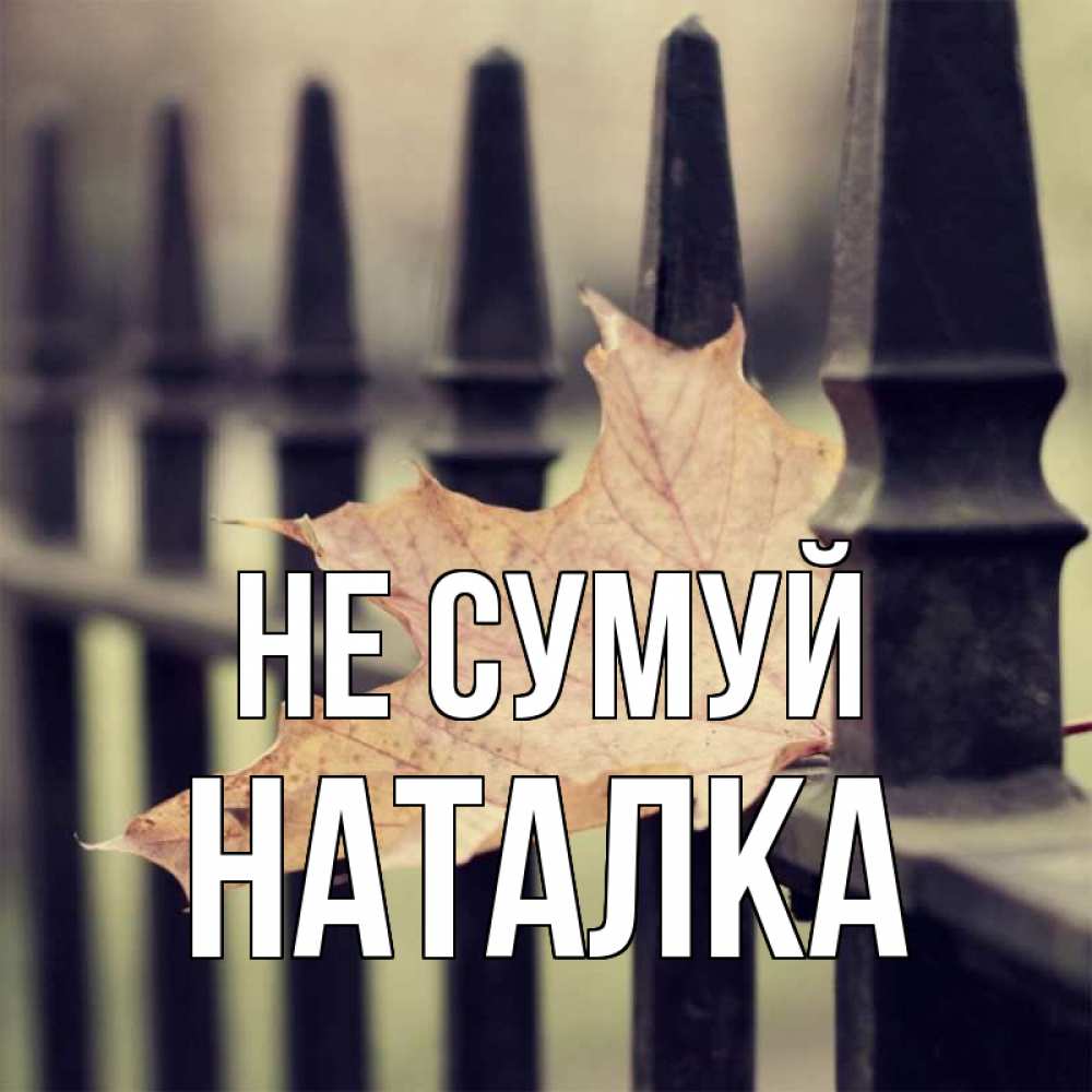 Открытка на каждый день з підписом, Наталка Не сумуй лист клена Прикольна листівка з побажанням онлайн скачати безкоштовно 
