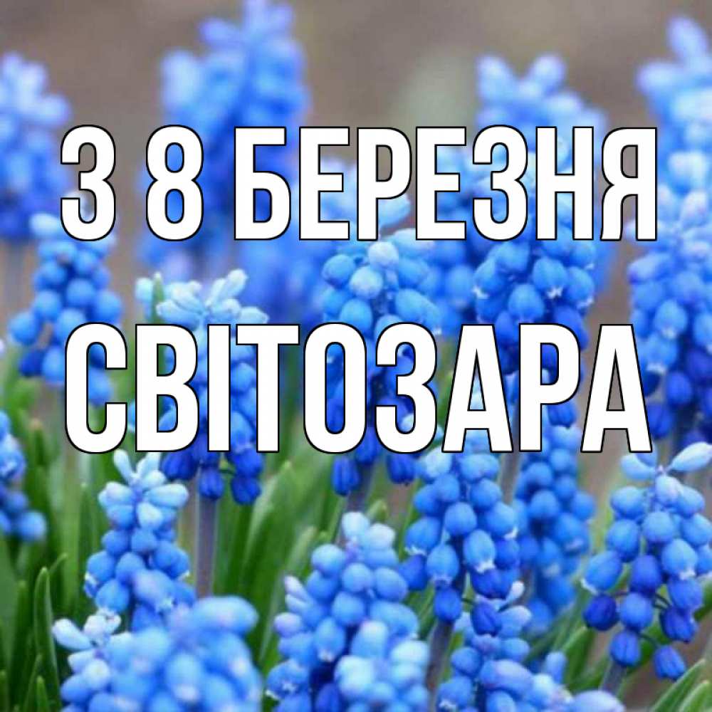 Открытка на каждый день з підписом, Світозара З 8 БЕРЕЗНЯ Поздравительная открытка для женщин с цветами на праздничную дату Прикольна листівка з побажанням онлайн скачати безкоштовно 
