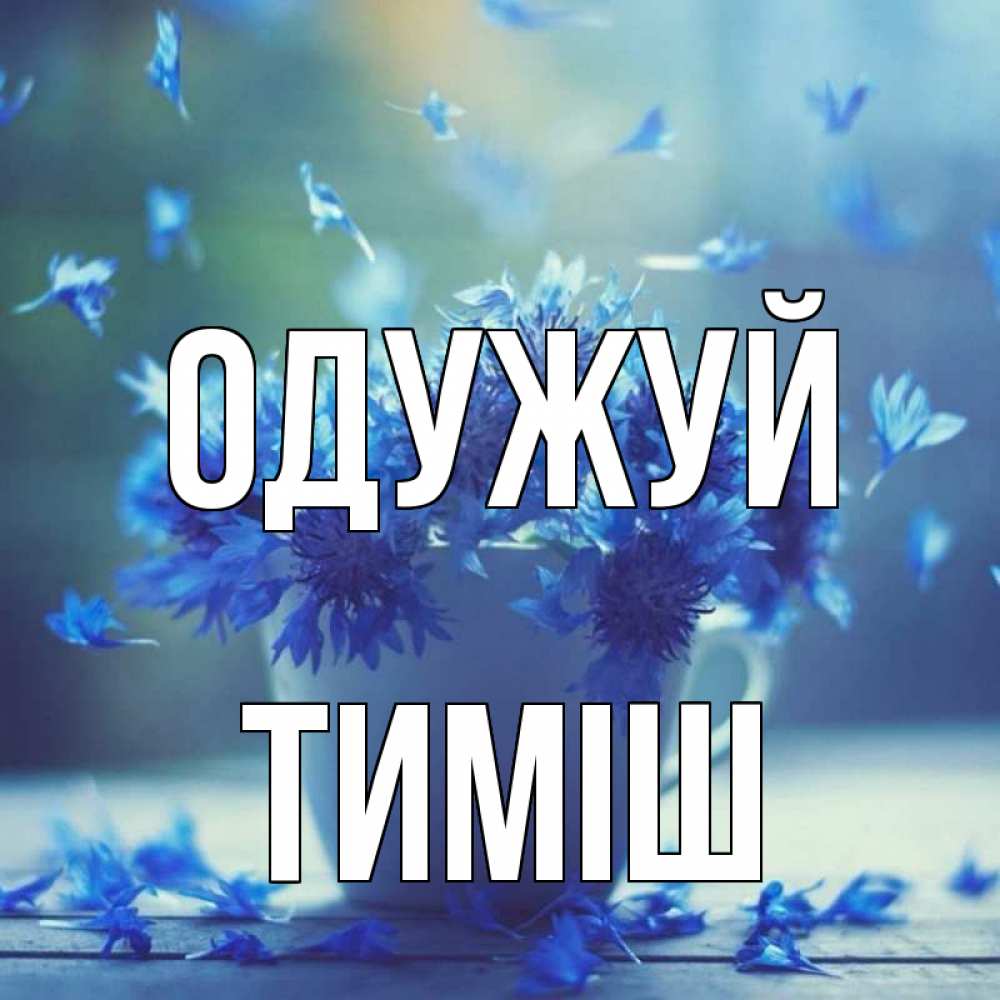 Открытка на каждый день з підписом, Тиміш Одужуй кружка с зельем и цветами Прикольна листівка з побажанням онлайн скачати безкоштовно 