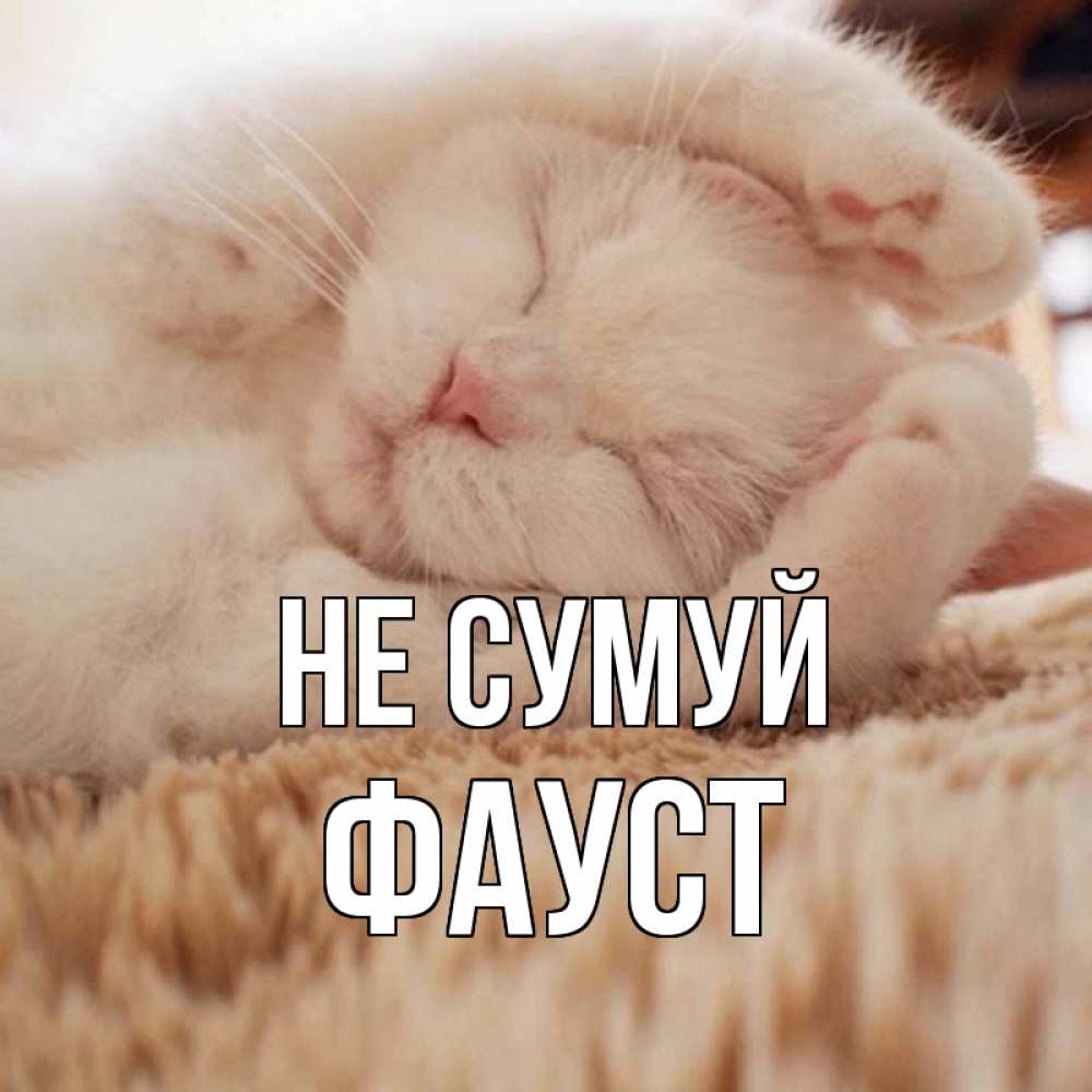 Открытка на каждый день з підписом, Фауст Не сумуй белый кот Прикольна листівка з побажанням онлайн скачати безкоштовно 