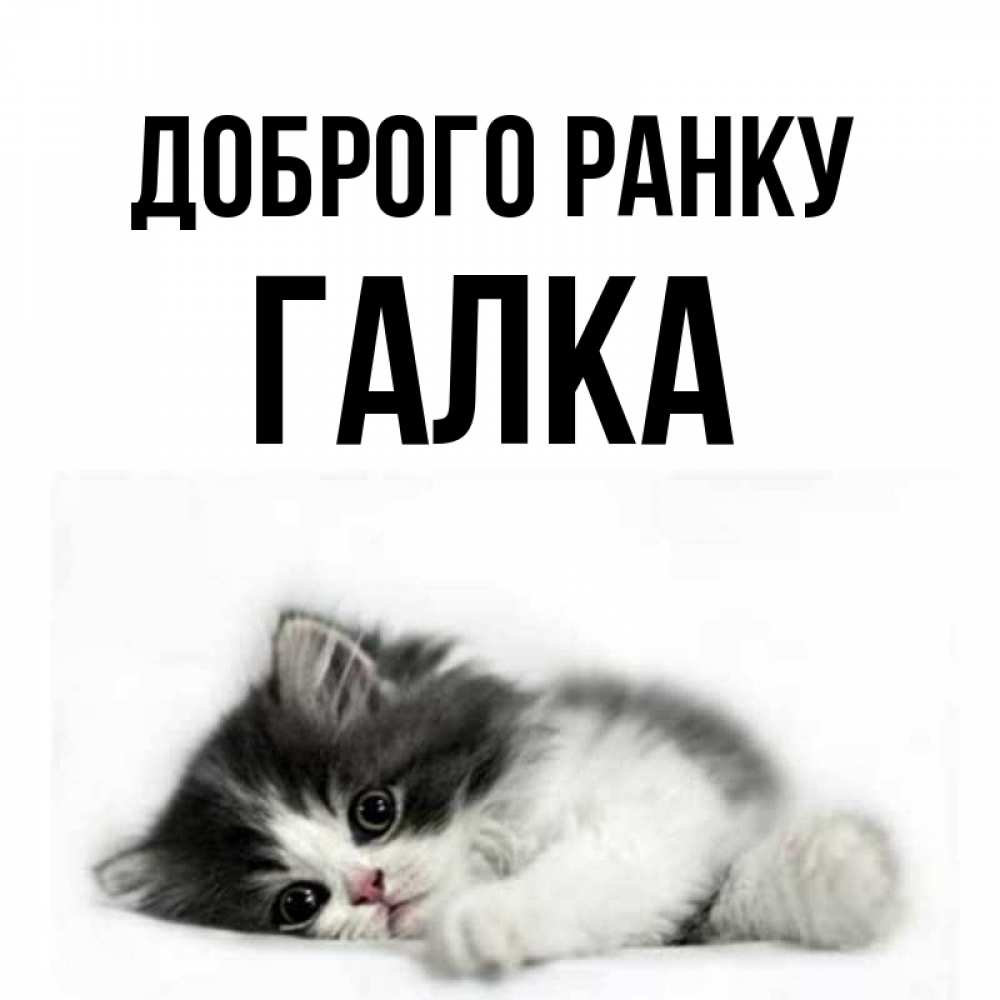 Открытка на каждый день з підписом, Галка Доброго ранку кот лапки Прикольна листівка з побажанням онлайн скачати безкоштовно 