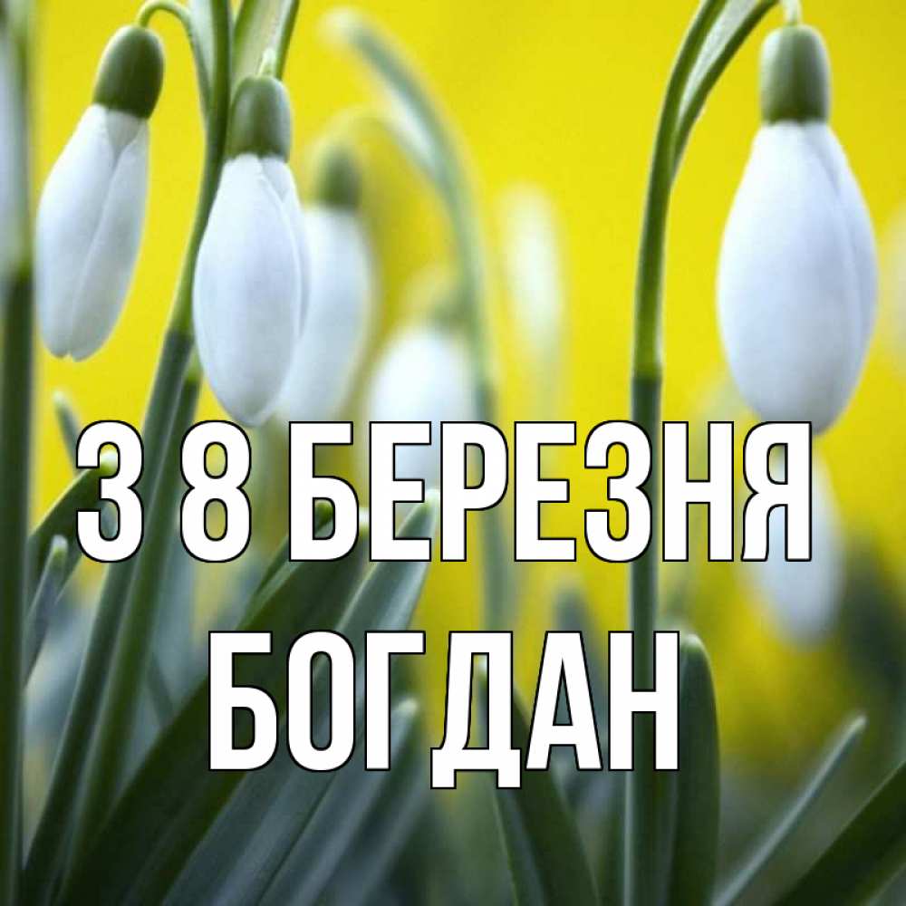 Открытка на каждый день з підписом, Богдан З 8 БЕРЕЗНЯ весенние цветы Прикольна листівка з побажанням онлайн скачати безкоштовно 