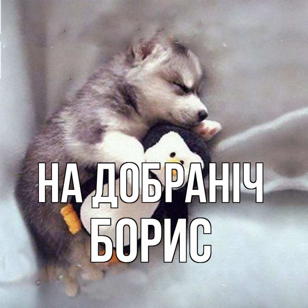 Открытка на каждый день з підписом, Борис На добраніч обнимашки щенка и пингвина Прикольна листівка з побажанням онлайн скачати безкоштовно 