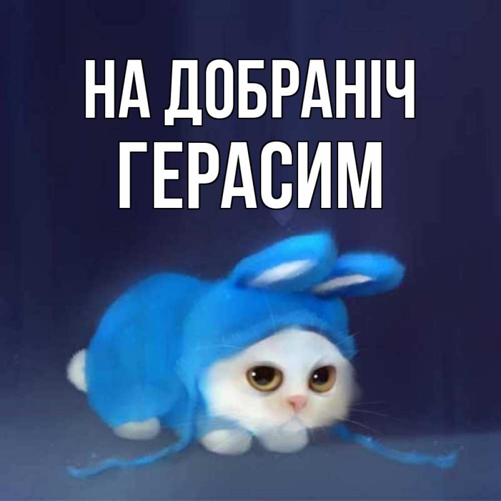 Открытка на каждый день з підписом, Герасим На добраніч кот в голубом костюме кролика с ушками Прикольна листівка з побажанням онлайн скачати безкоштовно 