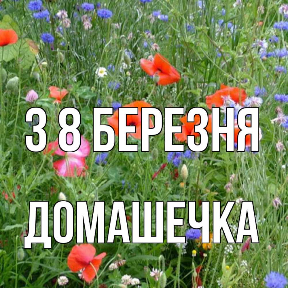 Открытка на каждый день з підписом, Домашечка З 8 БЕРЕЗНЯ международный женский день 4 Прикольна листівка з побажанням онлайн скачати безкоштовно 