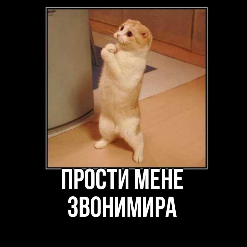 Открытка на каждый день з підписом, Звонимира Прости мене открытка с милым несчастным котиком просящим прощения Прикольна листівка з побажанням онлайн скачати безкоштовно 
