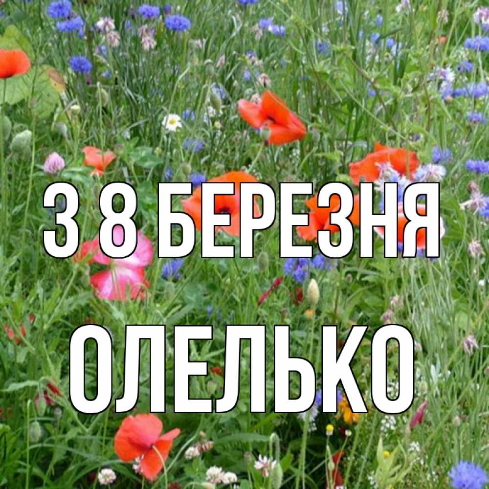 Открытка на каждый день з підписом, Олелько З 8 БЕРЕЗНЯ международный женский день 4 Прикольна листівка з побажанням онлайн скачати безкоштовно 