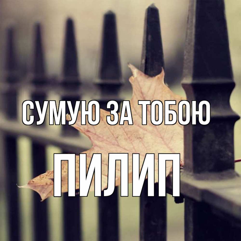 Открытка на каждый день з підписом, Пилип Сумую за тобою очень скучно Прикольна листівка з побажанням онлайн скачати безкоштовно 